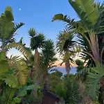 Tenerife - Authentisches Kanarisches Haus Mit Traumblick, Tropischem Garten Und Sauna Tatil Evi