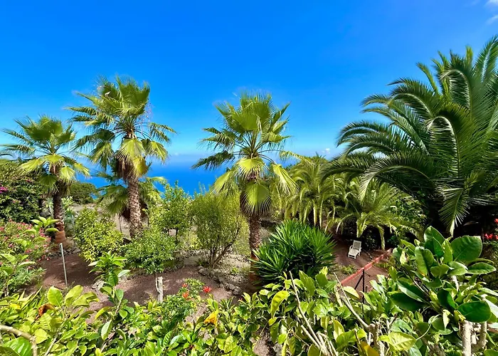 Tenerife - Authentisches Kanarisches Haus Mit Traumblick, Tropischem Garten Und Sauna * Icod De Los Vinos