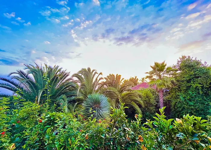 Tenerife - Authentisches Kanarisches Haus Mit Traumblick, Tropischem Garten Und Sauna * Icod De Los Vinos