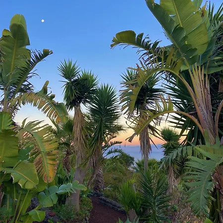 Tenerife - Authentisches Kanarisches Haus Mit Traumblick, Tropischem Garten Und Sauna 度假居