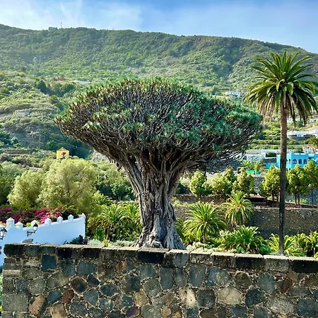 Tenerife - Authentisches Kanarisches Haus Mit Traumblick Und Tropischem Garten