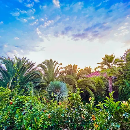 Tenerife - Authentisches Kanarisches Haus Mit Traumblick Und Tropischem Garten * Icod De Los Vinos