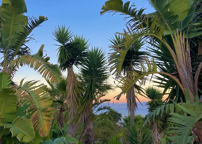 Tenerife - Authentisches Kanarisches Haus Mit Traumblick, Tropischem Garten Und Sauna 度假居