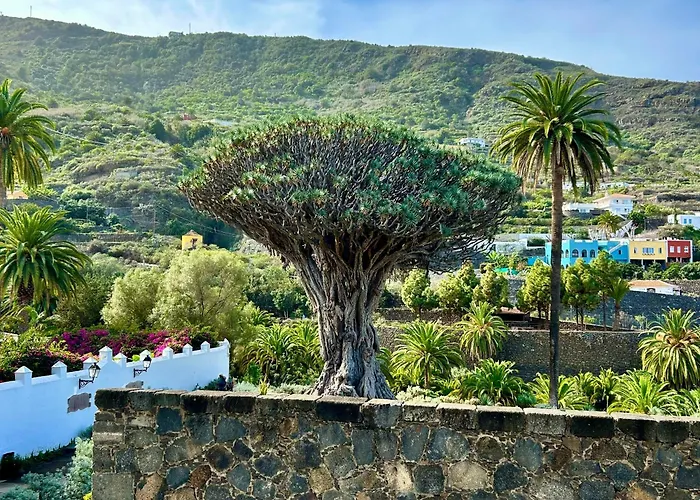 Tenerife - Authentisches Kanarisches Haus Mit Traumblick, Tropischem Garten Und Sauna